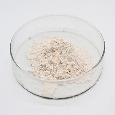 cooking polyacrylamide manufacturers, suppliers - polyacrylamide factory - boyuan - henan boyuan new materials co., ltd